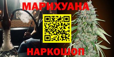 сатива Бугуруслан